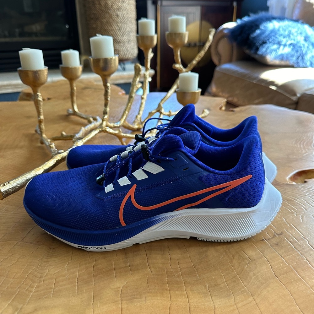 Nike Pegasus shoe